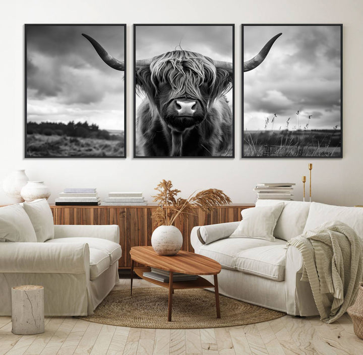 A large Scottish Cow Wall Art Canvas Print hangs on the wall.