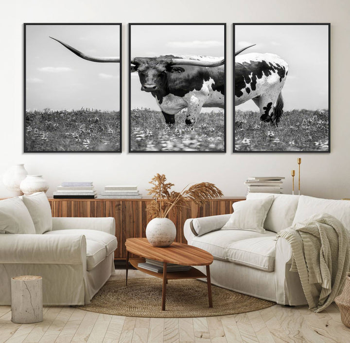 Texas Black White Highland Longhorn Cow Wall Art Canvas displayed on the wall.