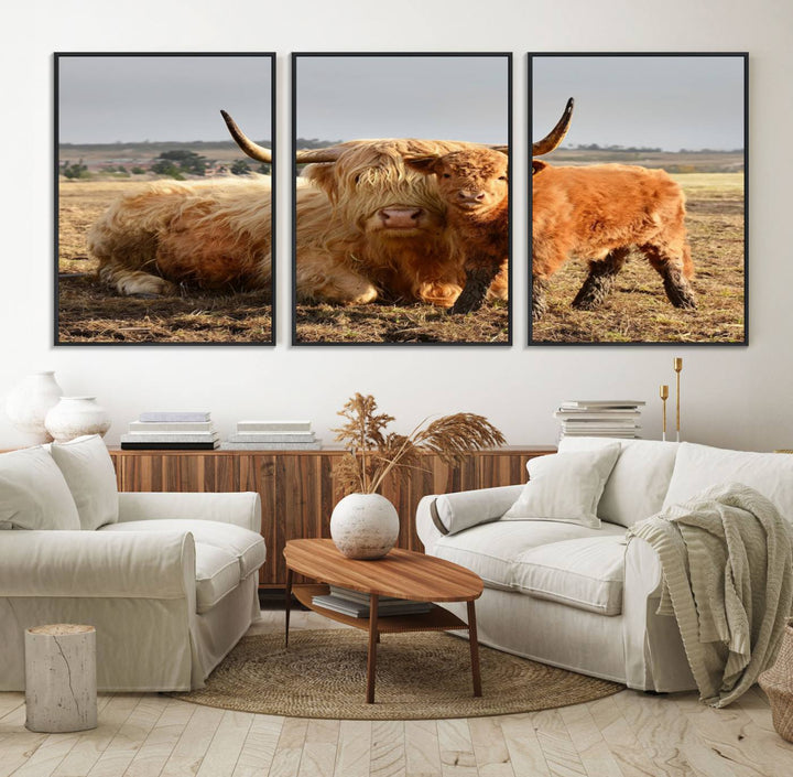 Highland Cow Canvas: a light brown cow and calf in the field, ideal farmhouse decor.