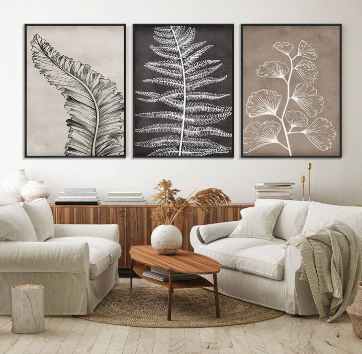 Three framed botanical wall art pieces are displayed in a bright room.