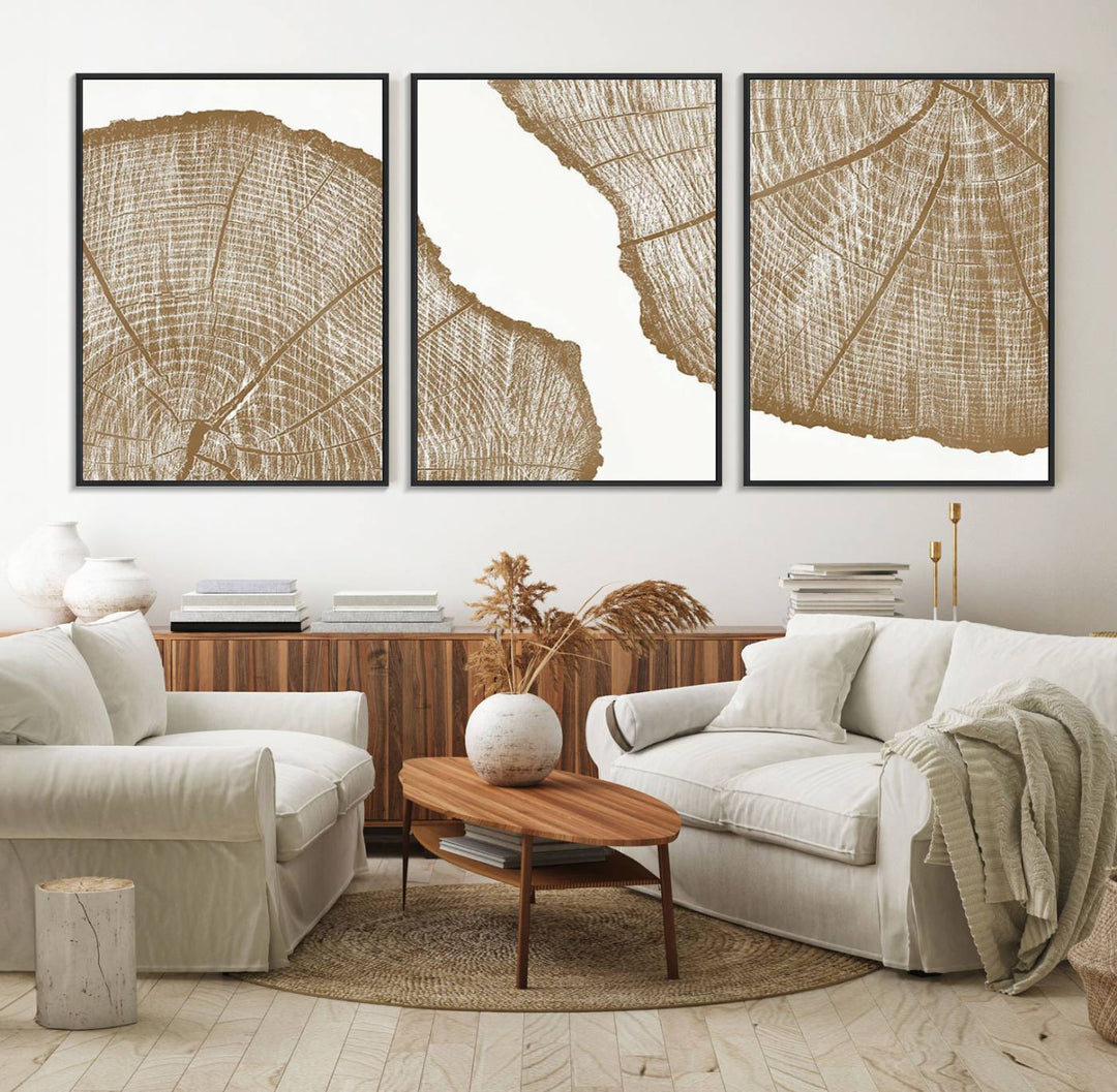 The rustic wall art features two large tree rings, beautifully framed and displayed to create a nature-inspired décor.