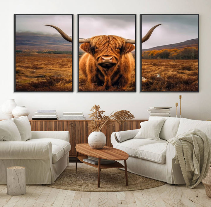 Highland Cow Longhorn Canvas Print, framed, on a wooden wall.