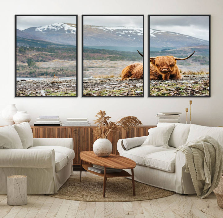 Highland Cow Horn Farm Wall Art Canvas Print is displayed against a wooden wall featuring a mountainous backdrop.