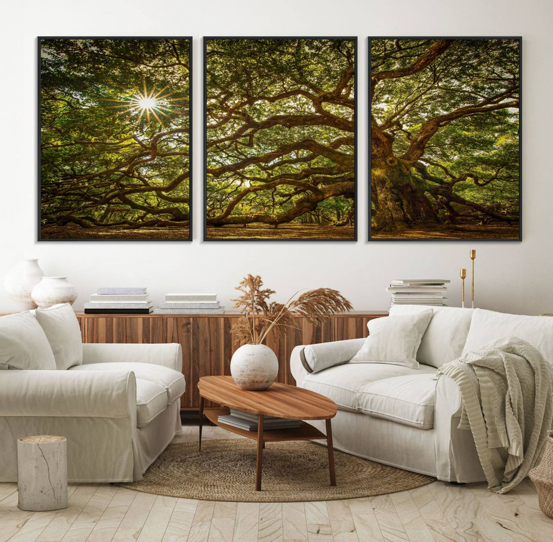 The Ancient Angel Oak Tree Art Sunburst Canvas Print, a framed triptych, serves as wall art.