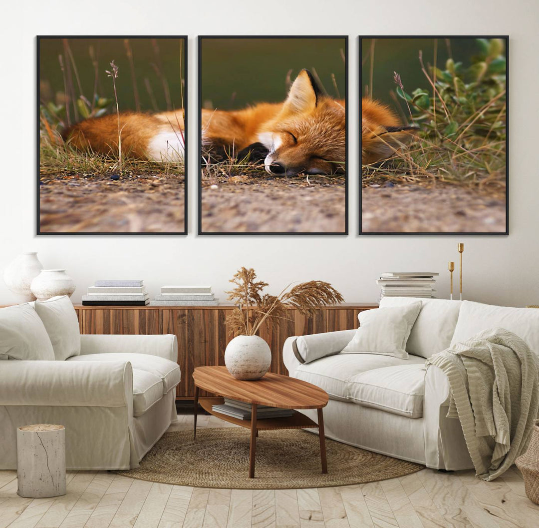 The Sleeping Fox Wall Art Canvas Print is ideal for farmhouse decor.