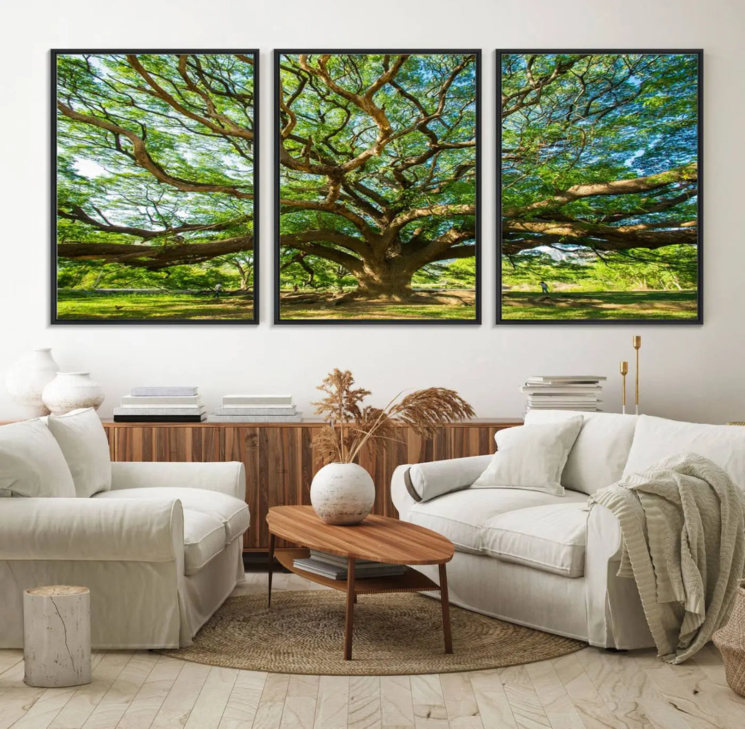 The Angel Oak Tree Wall Art, a multi-panel canvas print showcasing a large tree with sprawling branches and green leaves in a style reminiscent of the majestic Angel Oak Tree, elegantly adorns the wooden wall in the living room.