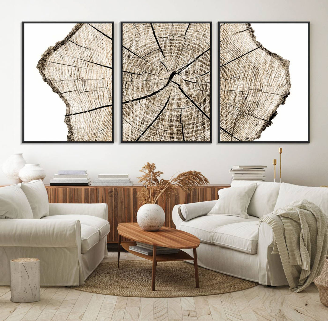 The Abstract Wood Tree Ring Wall Art set of 3 adds a minimalist touch to the space.