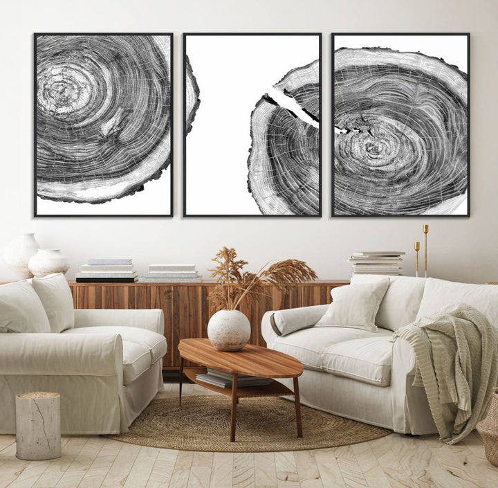 The modern black and white tree rings canvas art adds minimalist geometric decor with nature inspiration.