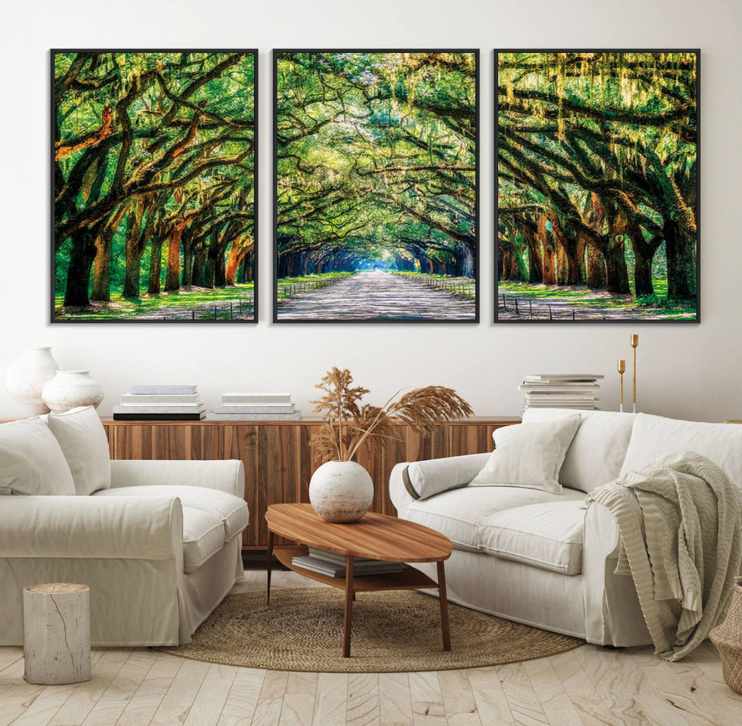 The Serene Tree Tunnel Canvas Print decorates the wall.