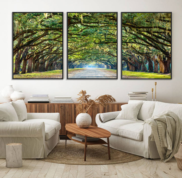 Wormsloe State Plantation Driveway Wall Art shines with Southern charm.