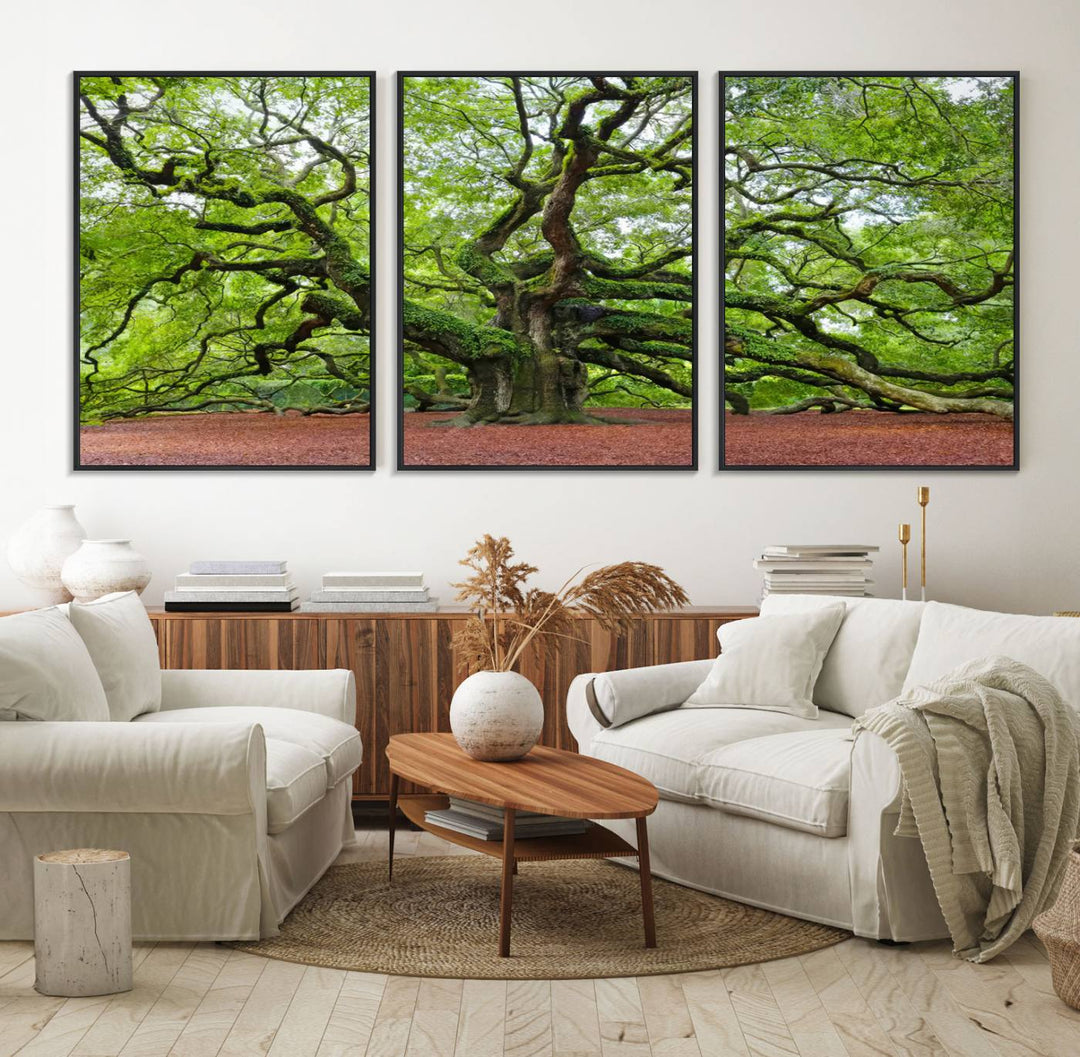 Framed Angel Oak Tree Wall Art: Large 3-panel green nature canvas, ready to hang.