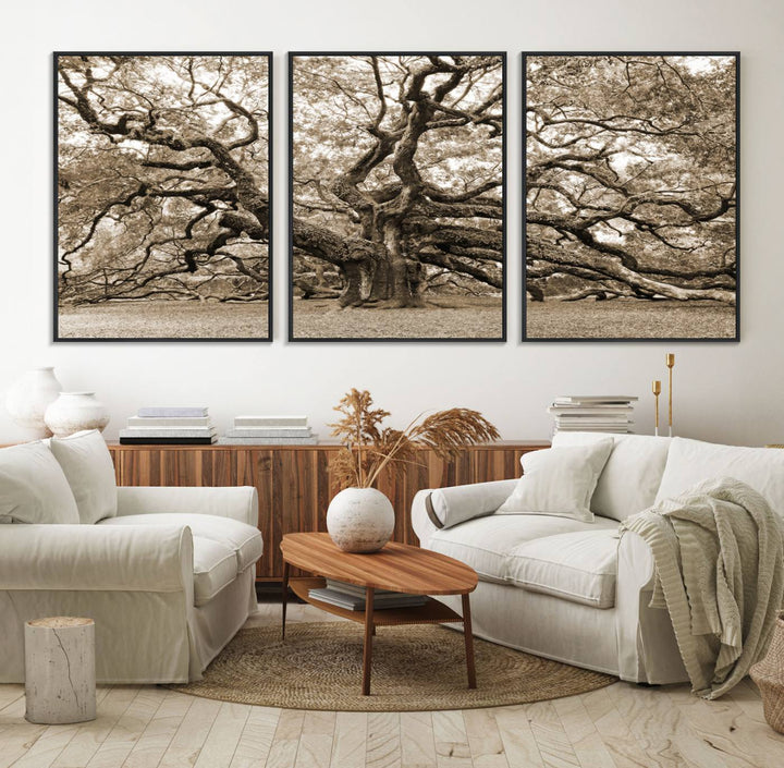 Displayed on the wall is a Sepia-framed Angel Oak Tree 3-panel canvas.