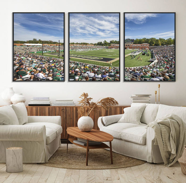 The University of Charlotte 49ers stadium print adds flair to a modern living room wall with its vibrant scene and clear sky.