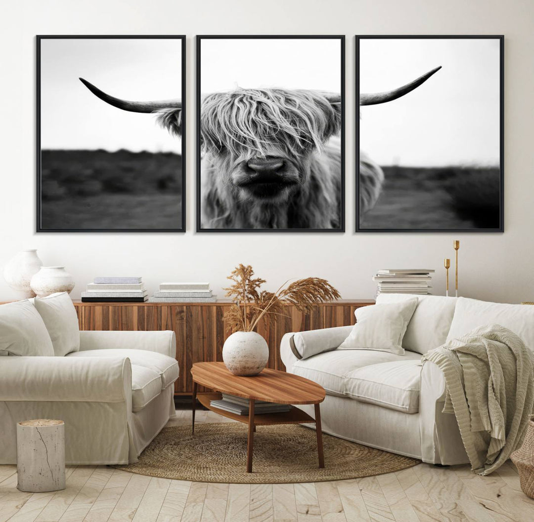 The Highland Cow Wall Art, a black and white farmhouse decor piece showcased as a triptych canvas print, graces a dark wall with its long-haired Scottish Highland cattle art print exuding rustic barn aesthetic.