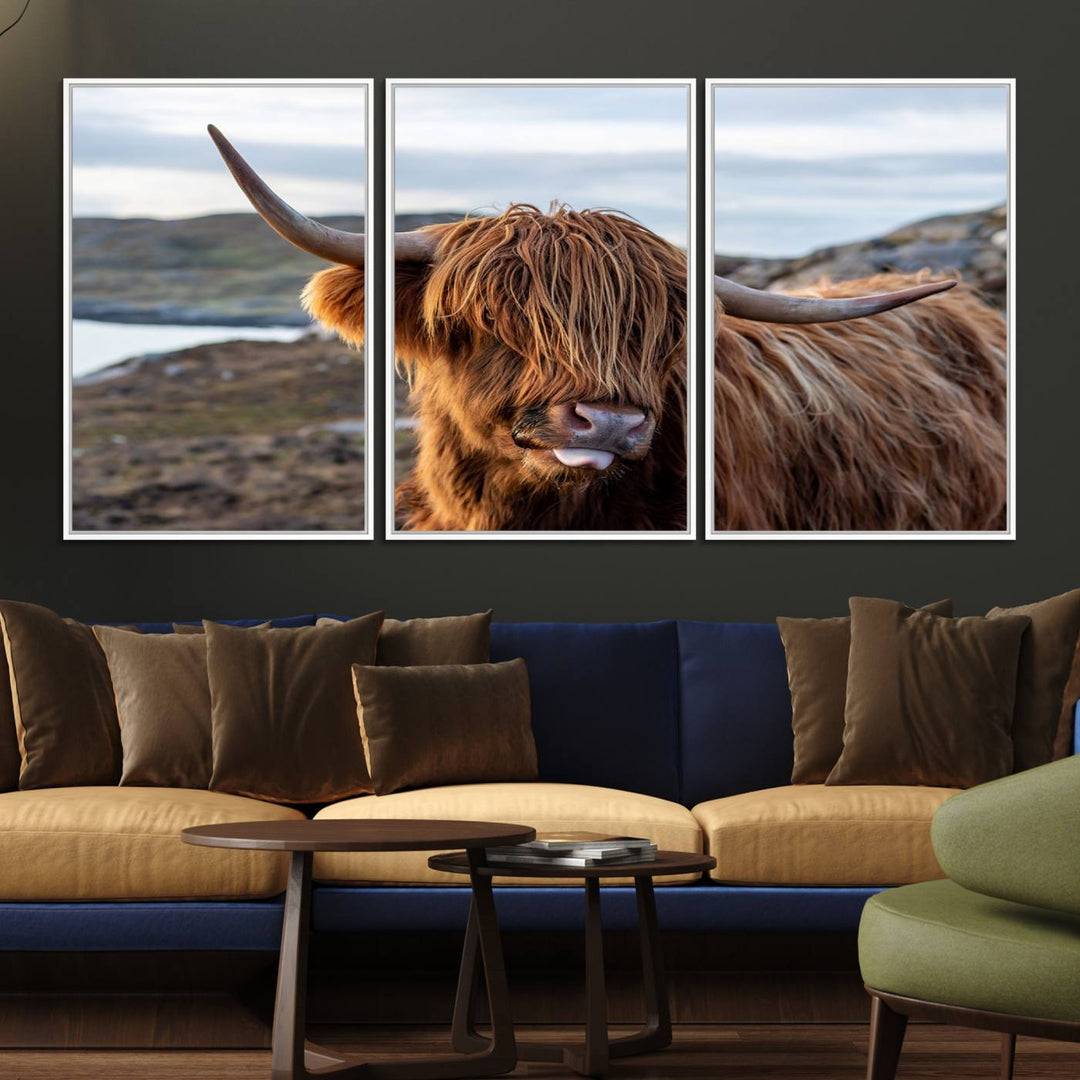 The Cuddly Highland Cow Canvas hangs, adding charm with its shaggy elegance.