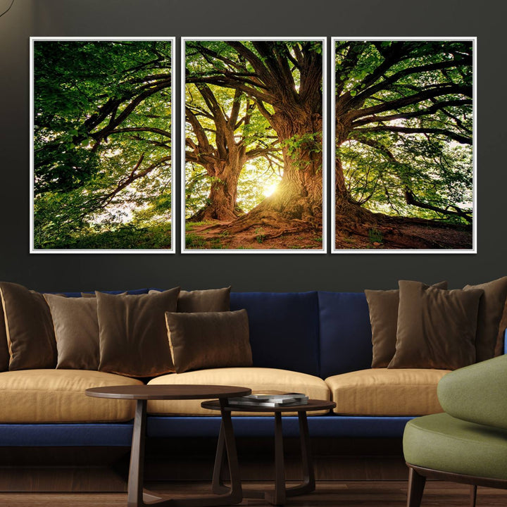 Majestic Ancient Tree Wall Art is illuminated by sunlit forest rays.