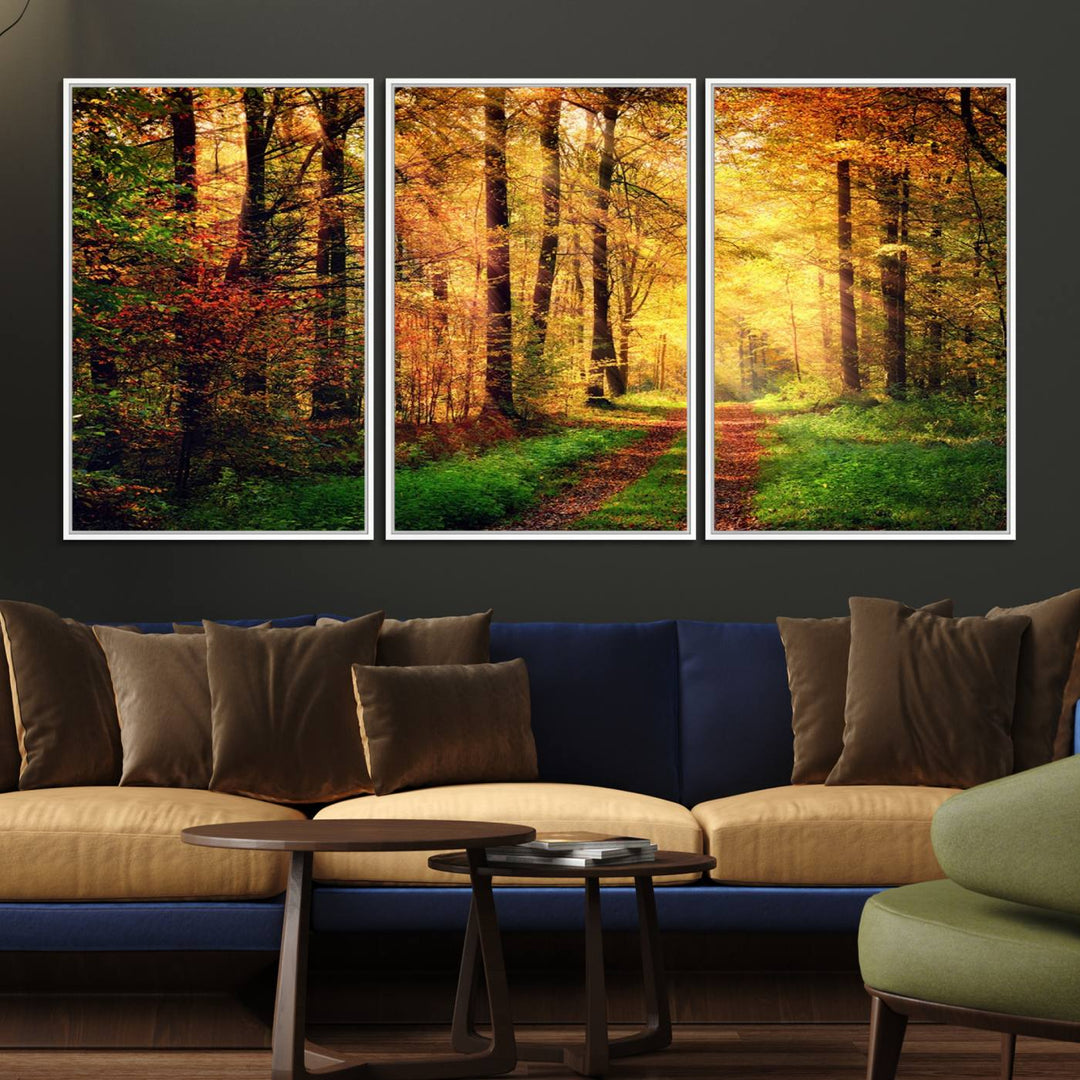 The Sunlight Through Trees Wall Art Canvas Print showcases a sunlit autumn forest and includes UV protection to ensure lasting vibrance.