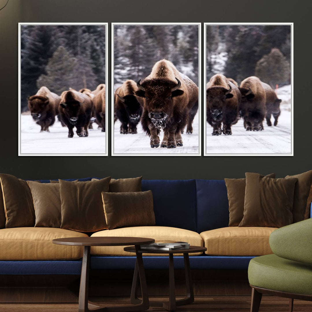 Bison Herd Canvas Wall Art.