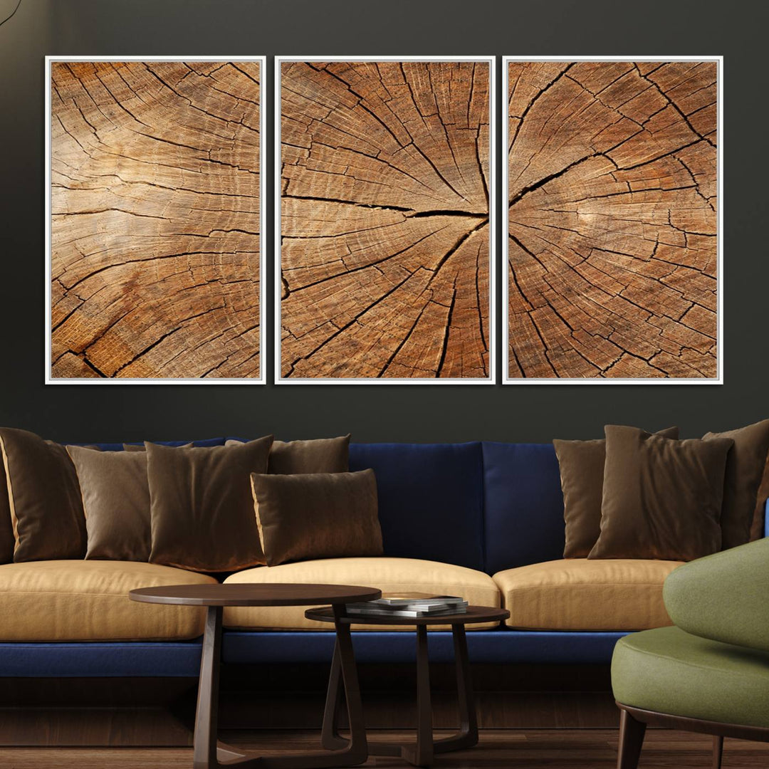 Tree Ring Canvas Art decorates a textured wall.