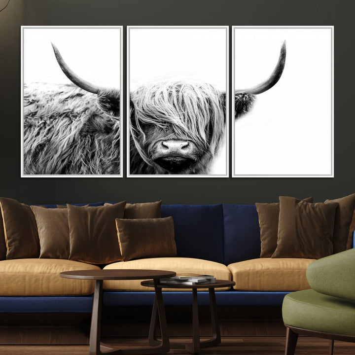 Framed Black and White Scottish Highland Cow Art Print.