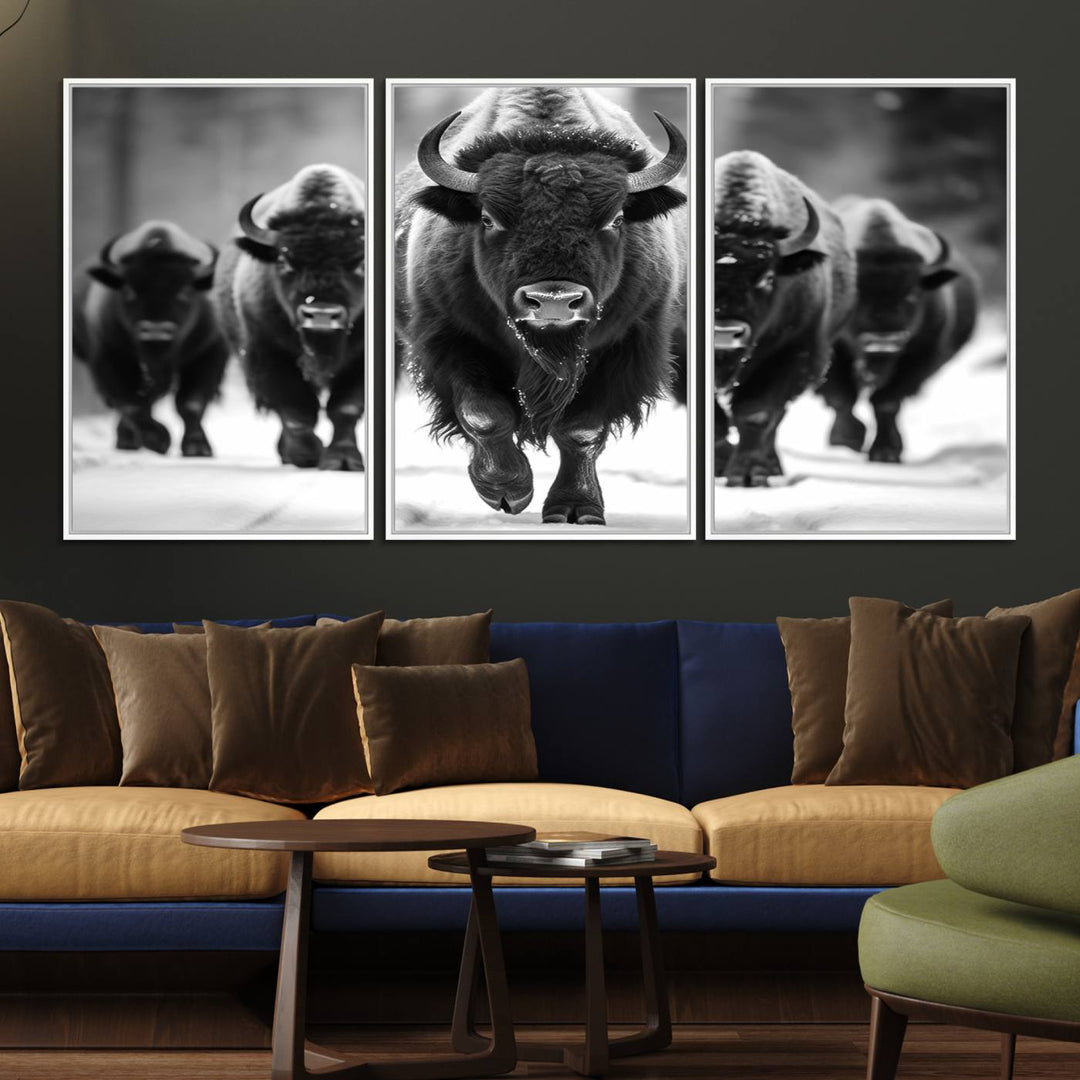 A black and white American Bison herd canvas print adorns the wall.