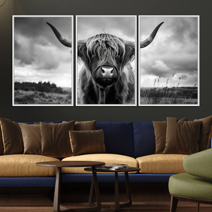 A large Scottish Cow Wall Art Canvas Print hangs on the wall.