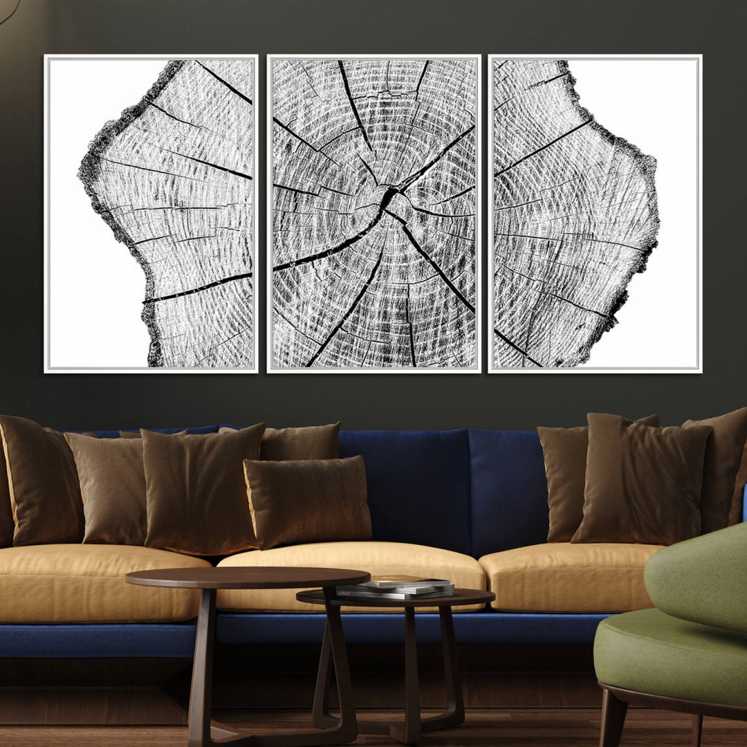 Black and white tree ring art print.