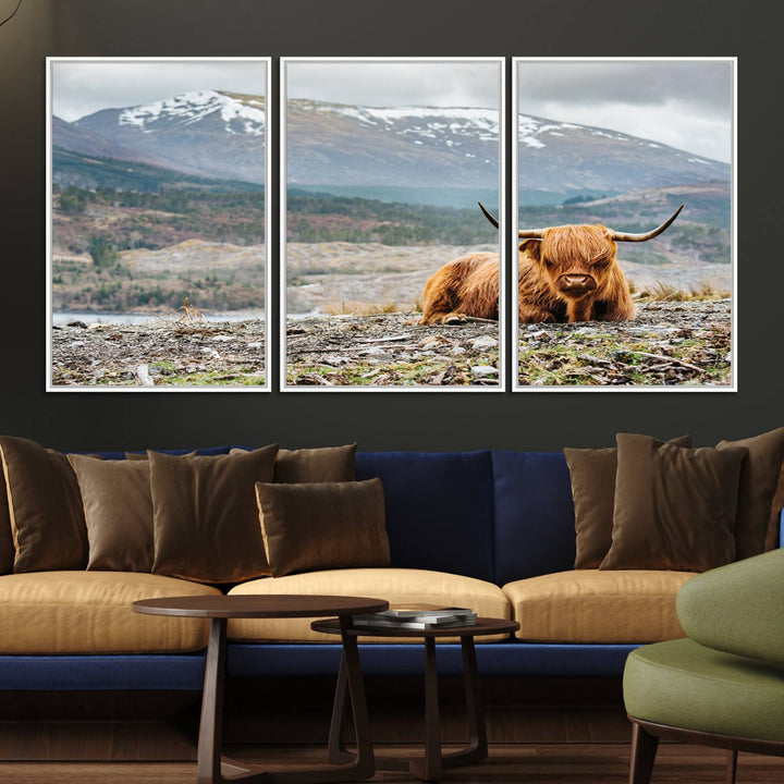 Highland Cow Horn Farm Wall Art Canvas Print is displayed against a wooden wall featuring a mountainous backdrop.