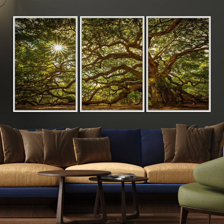 The Ancient Angel Oak Tree Art Sunburst Canvas Print, a framed triptych, serves as wall art.