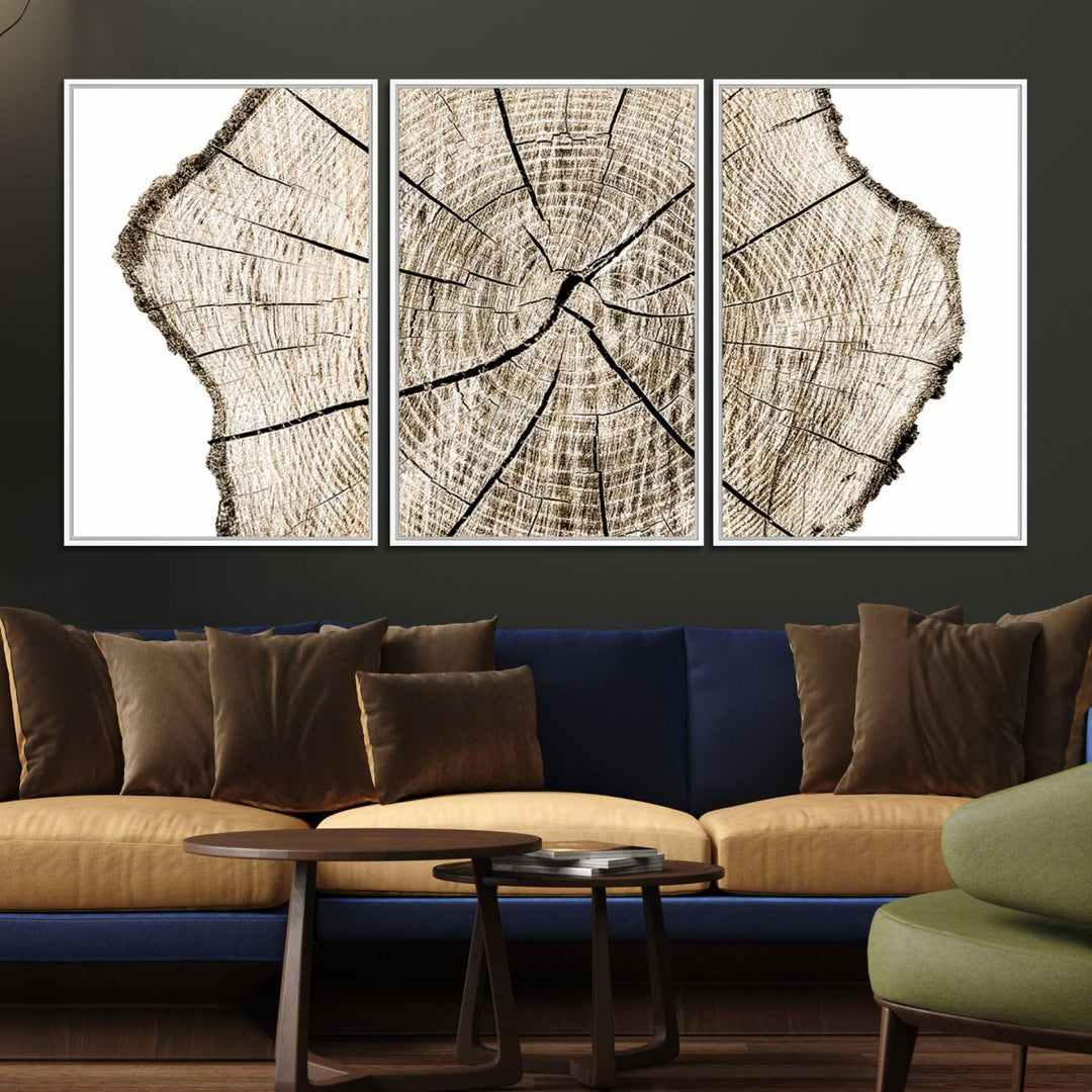 The Abstract Wood Tree Ring Wall Art set of 3 adds a minimalist touch to the space.