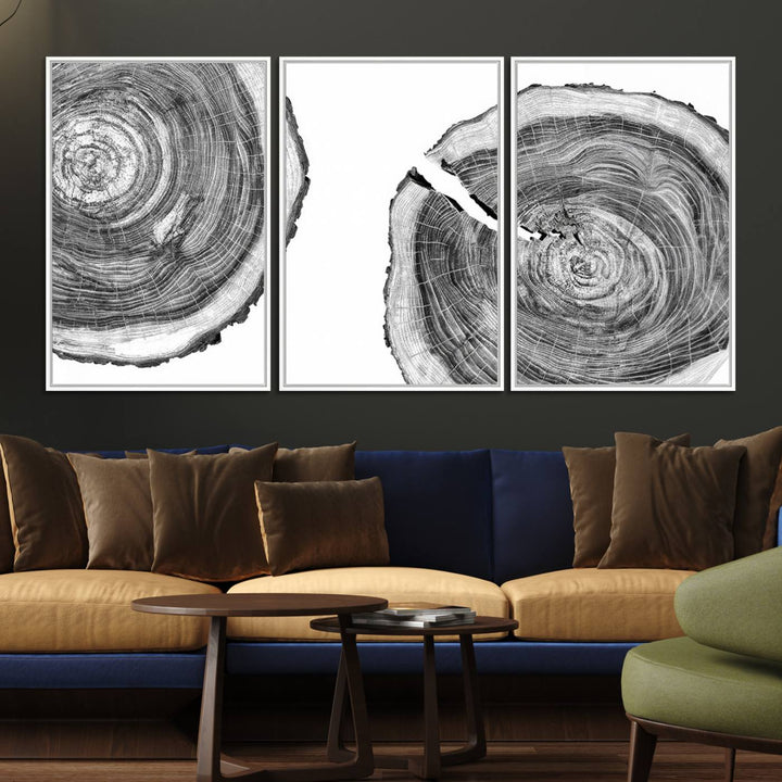 The modern black and white tree rings canvas art adds minimalist geometric decor with nature inspiration.