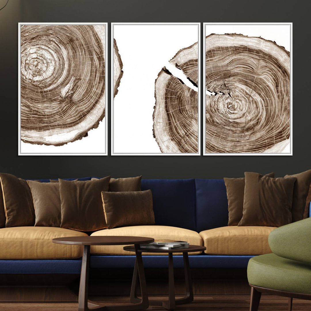 Wood Tree Ring Wall Art on a minimalist black and white canvas.