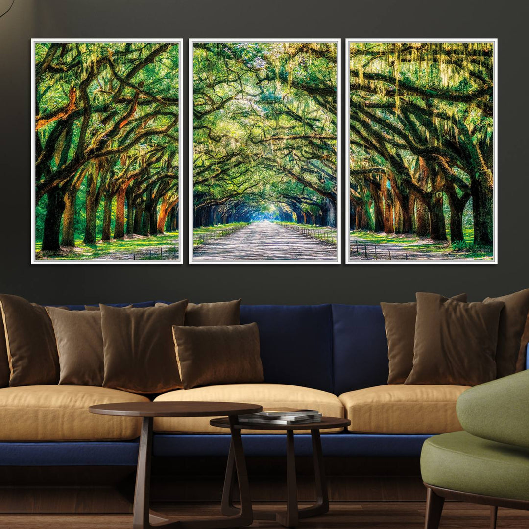 The Serene Tree Tunnel Canvas Print decorates the wall.