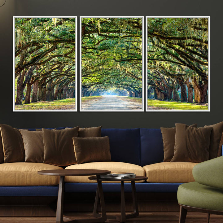 Wormsloe State Plantation Driveway Wall Art shines with Southern charm.