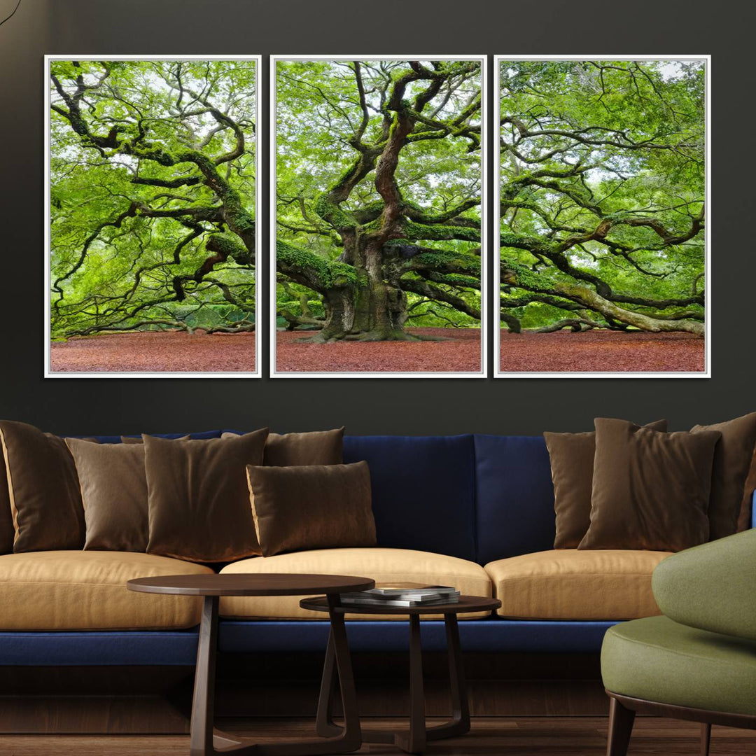 Framed Angel Oak Tree Wall Art: Large 3-panel green nature canvas, ready to hang.