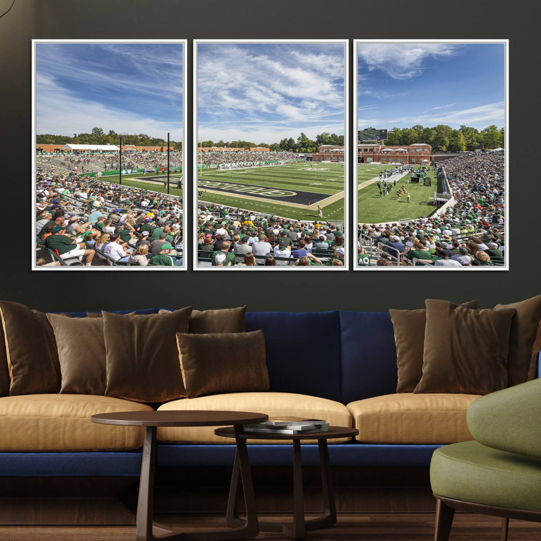 The University of Charlotte 49ers stadium print adds flair to a modern living room wall with its vibrant scene and clear sky.