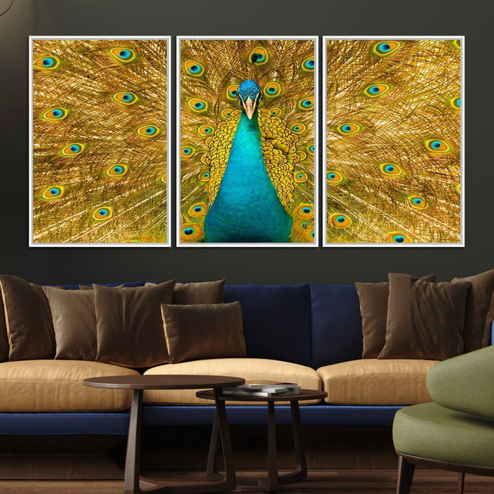 The Peacock Wall Art Canvas Print adorns a bright wall.