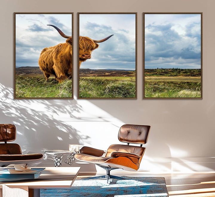 Highland Cattle Canvas Print: A minimalistic touch for any setting.