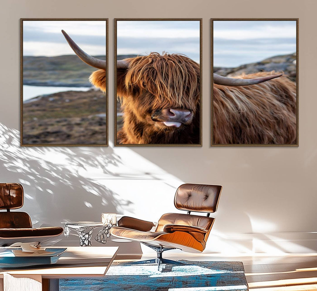 The Cuddly Highland Cow Canvas hangs, adding charm with its shaggy elegance.