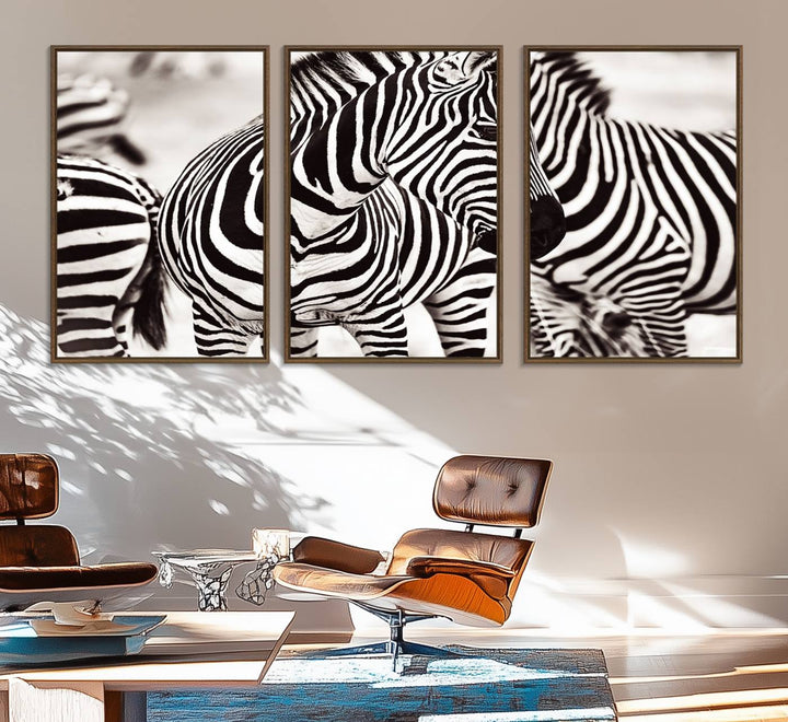 The Brilliant Zebra Photography Art Canvas Print hangs prominently on the wall.