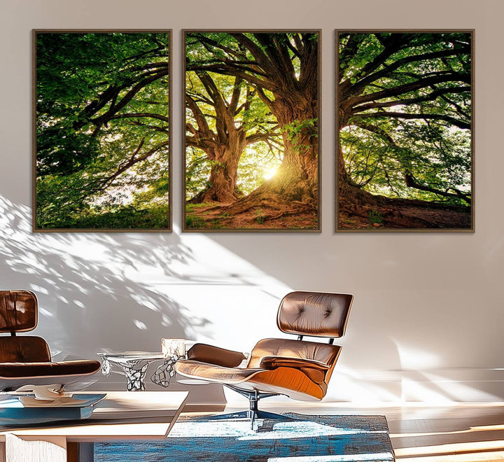 Majestic Ancient Tree Wall Art is illuminated by sunlit forest rays.