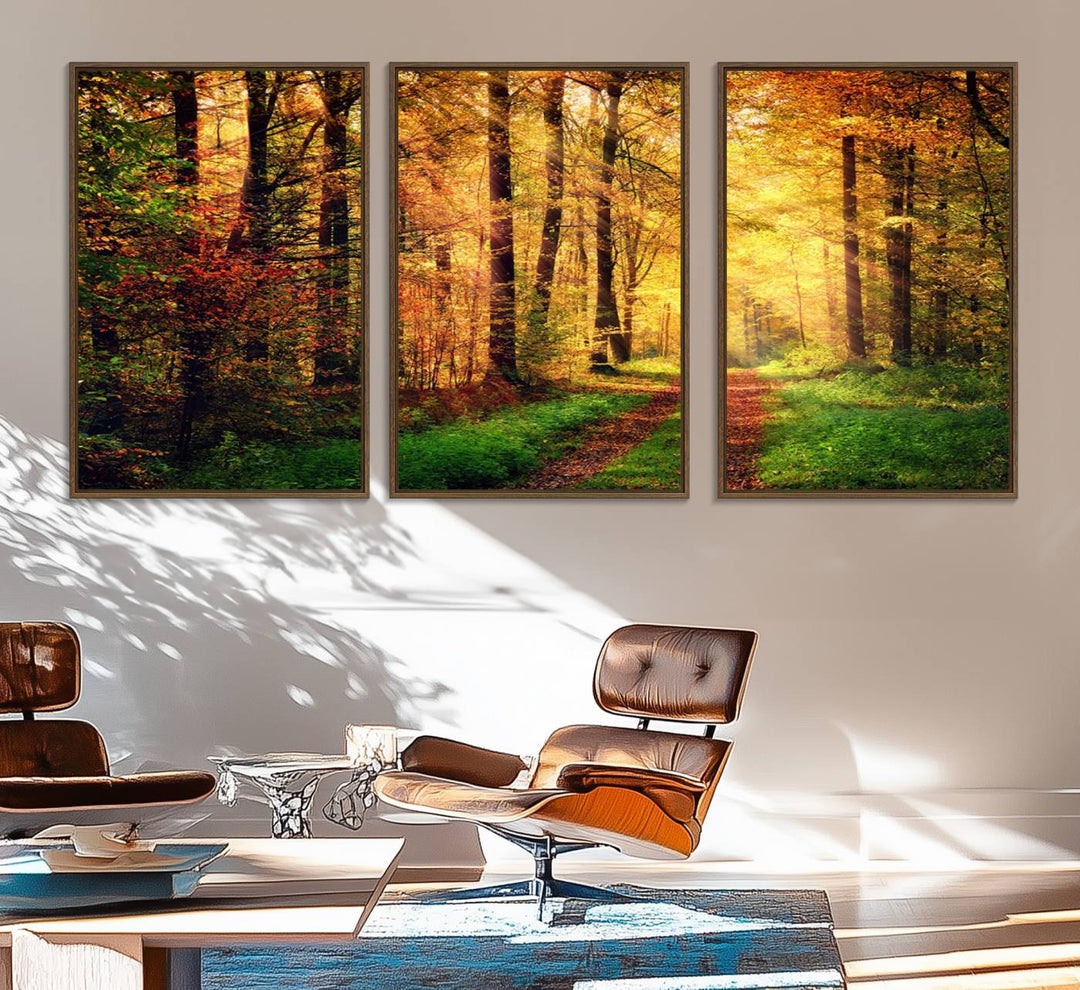 The Sunlight Through Trees Wall Art Canvas Print showcases a sunlit autumn forest and includes UV protection to ensure lasting vibrance.