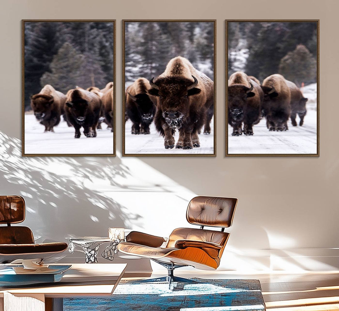 Bison Herd Canvas Wall Art.