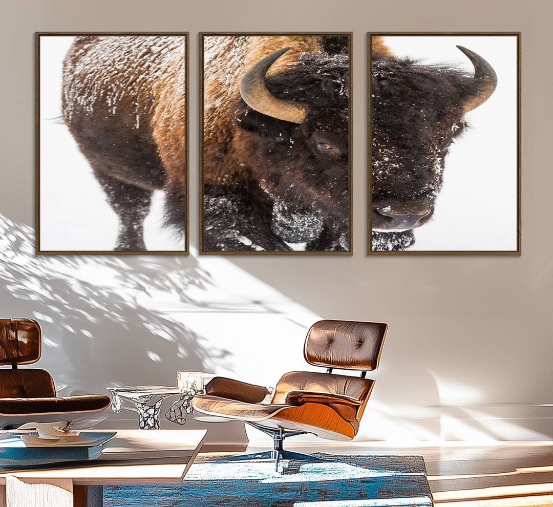 Bison Wall Art Canvas.