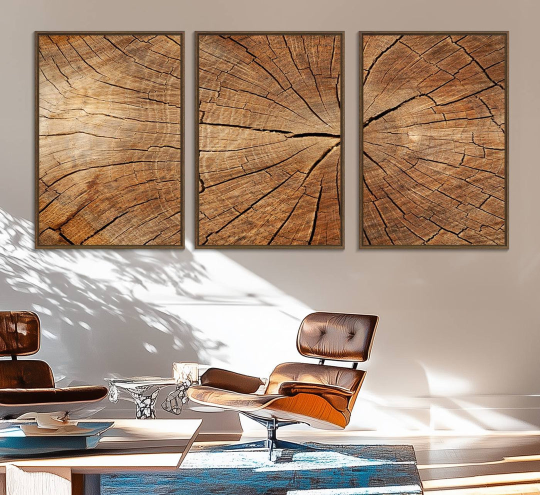 Tree Ring Canvas Art decorates a textured wall.