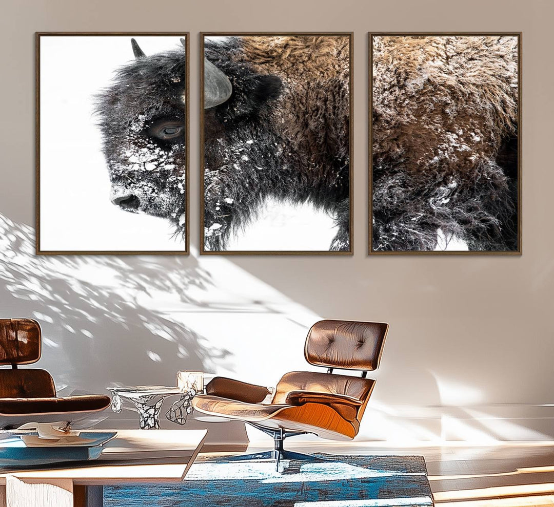 The American Bison Wall Art Print is prominently displayed on the wall.