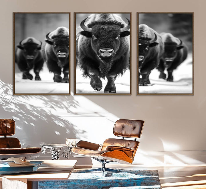 A black and white American Bison herd canvas print adorns the wall.