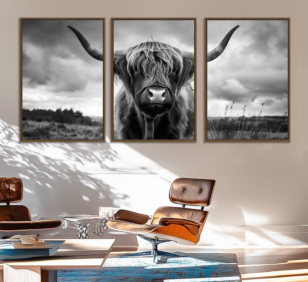 A large Scottish Cow Wall Art Canvas Print hangs on the wall.