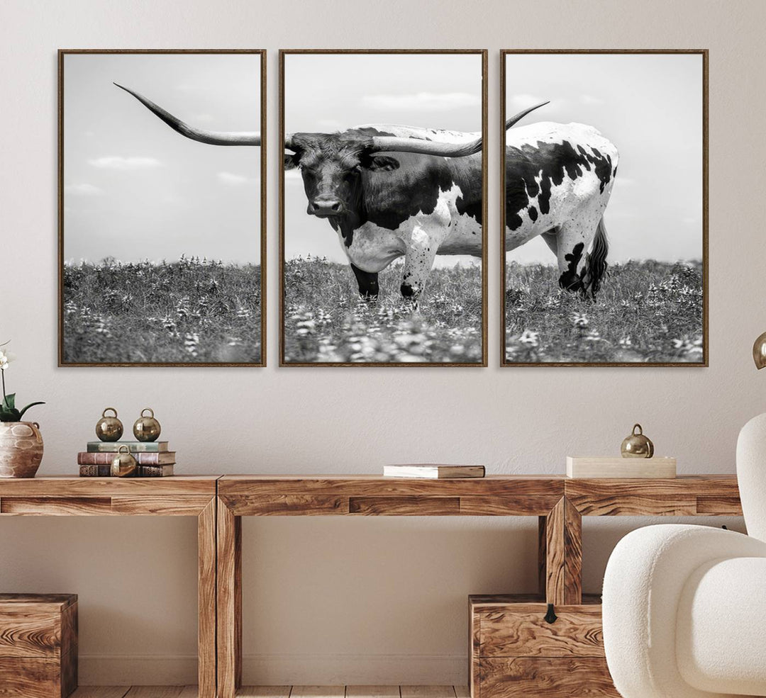 Texas Black White Highland Longhorn Cow Wall Art Canvas displayed on the wall.