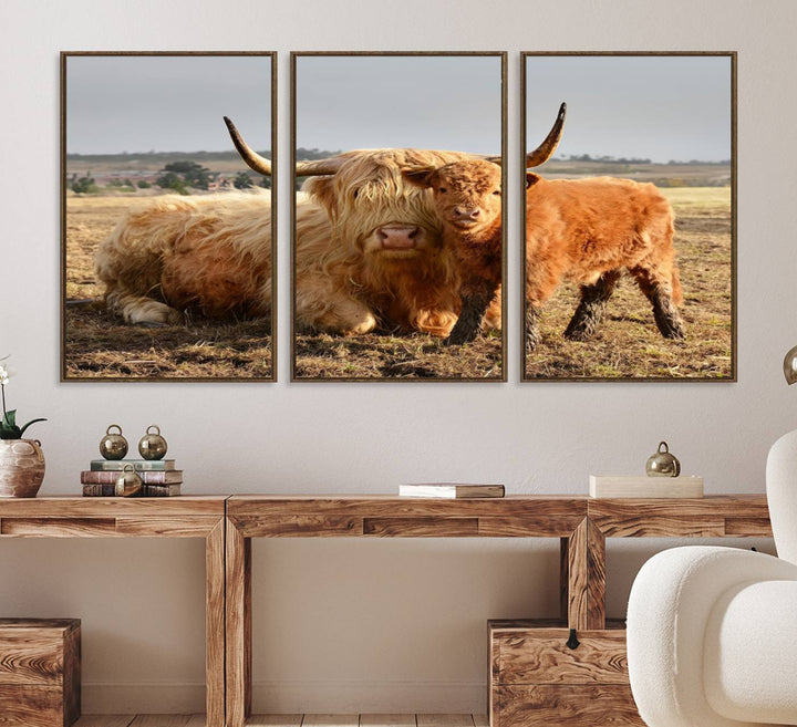 Highland Cow Canvas: a light brown cow and calf in the field, ideal farmhouse decor.